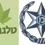 “ביום אחד כל מה שבנינו נפל” – סוחר בטלגראס מספר על המפולת
