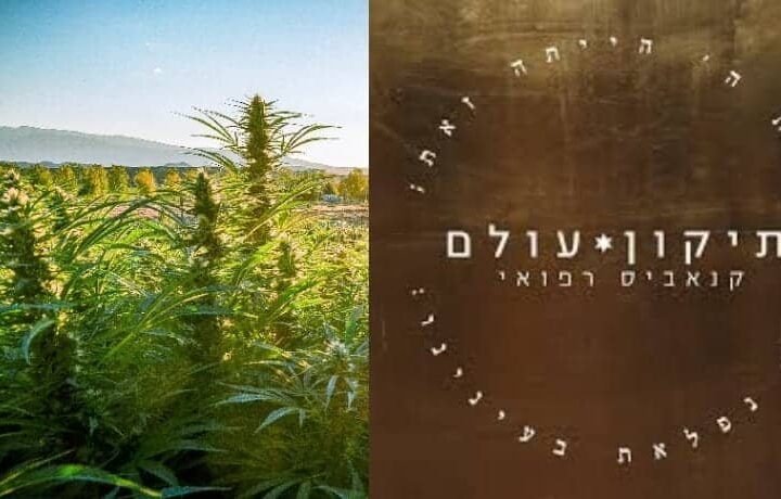 שלומי סנדק: “כל תביעה נגד היק”ר היא מכה נוספת בחומת האדישות והאטימות”