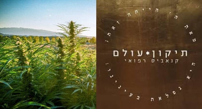 'תיקון עולם' נסגרת זמנית בצו משרד הבריאות - על מה ולמה?