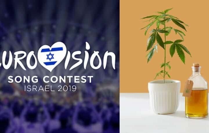 לקראת גמר האירוויזיון – משטרת ישראל מזהירה תיירים מ-CBD