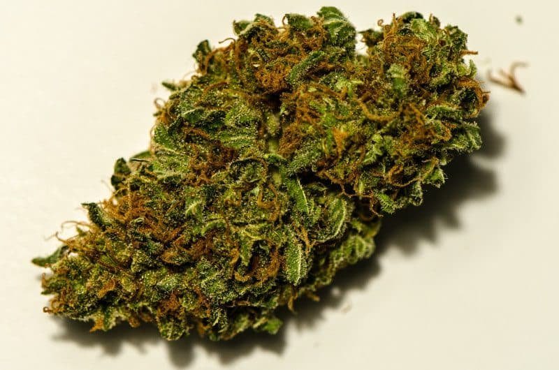 קנאטוניק cannatonic