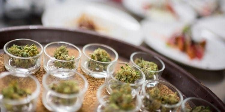 חוויות נוסח ‘420’ – 2019 שריקת הפתיחה של עידן חוויות הקנאביס