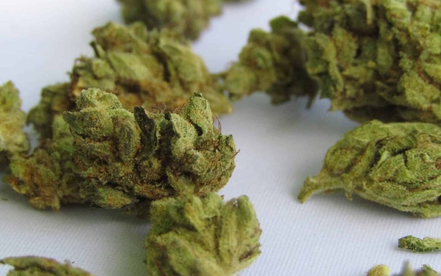 5 הקנבינואידים שאתם חייבים להכיר! (שהם לא THC או CBD)