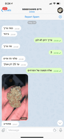 להתארגן על קנאביס