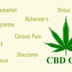 השקעות בשוק הקנאביס – CBD מבוסס המפ בדרך להיות חופשי בארה”ב