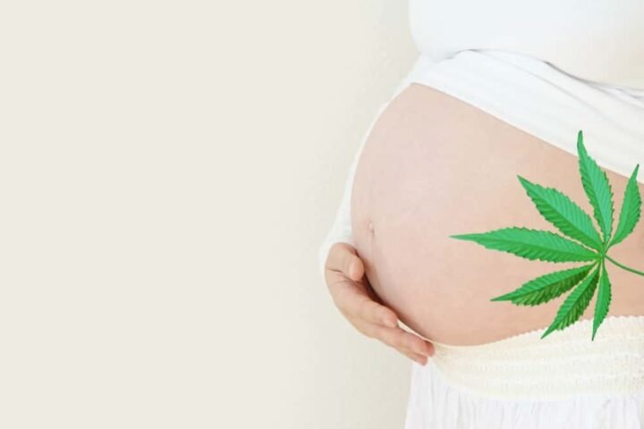 קנאביס בהריון – בקליפורניה החליטו במפתיע: THC מסוכן לנשים בהריון