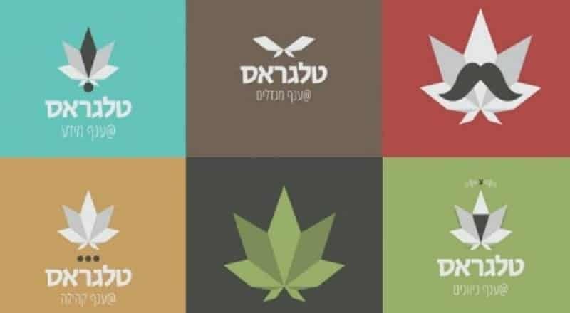 איך משיגים קנאביס בישראל המדריך המלא למתארגן