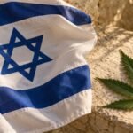 דגל ישראל לצד עלה קנאביס על אבן בהירה
