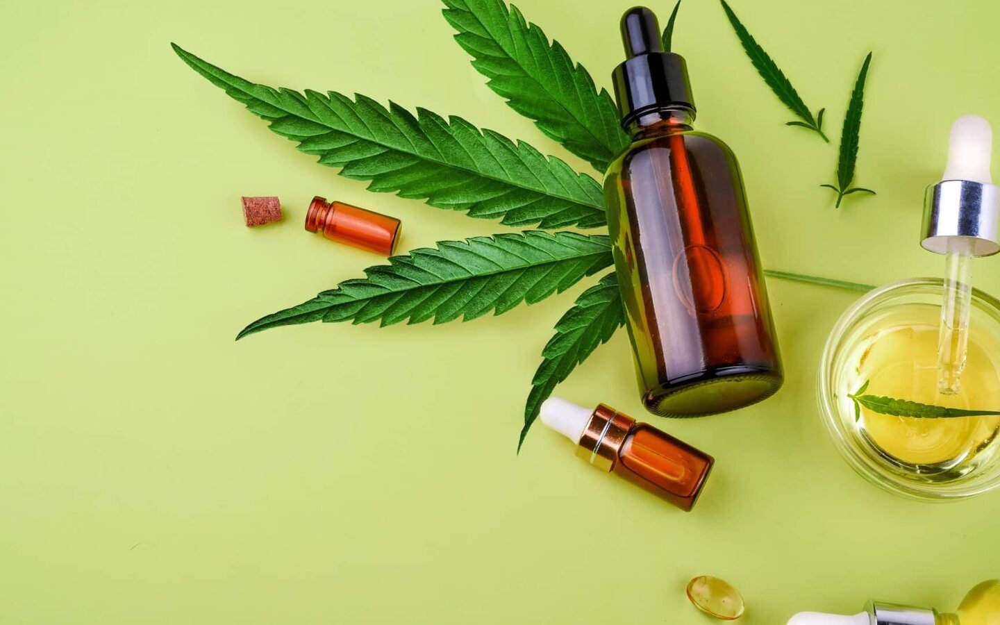 כל מה שרציתם לדעת על CBD ולא העזתם לשאול