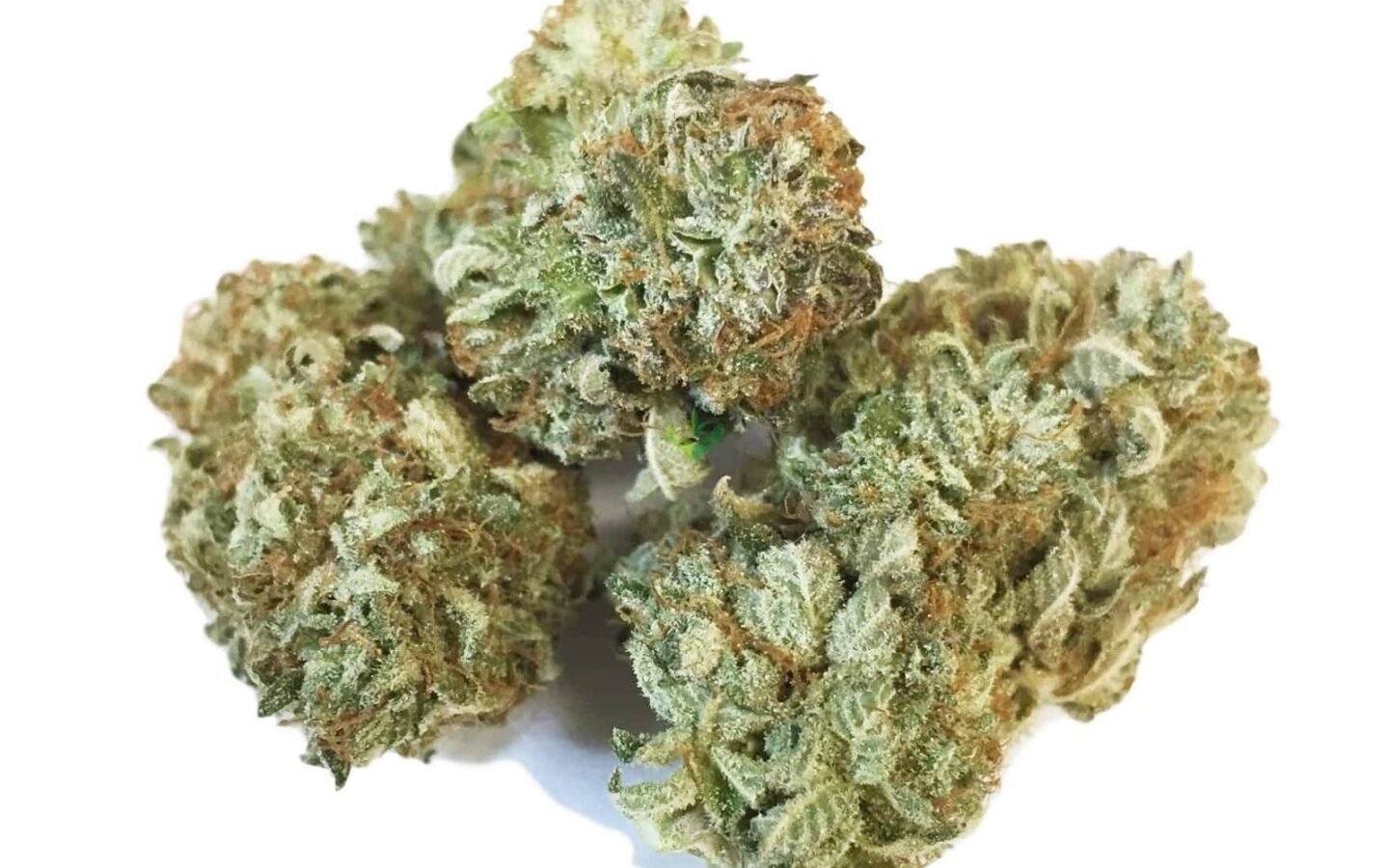 Afgan kush