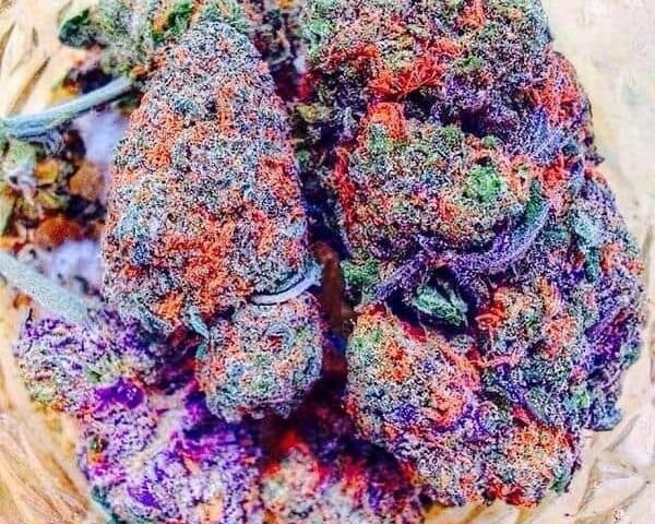 אליאן קוש (Alien Kush)