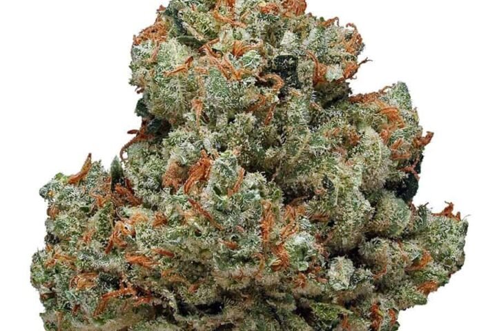 כימדוג Chemdawg