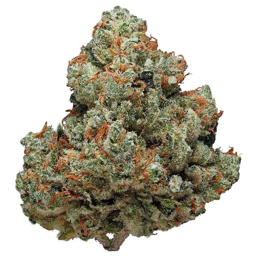 כימדוג Chemdawg