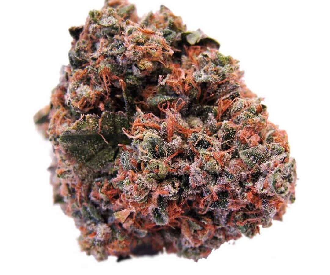 סטרוברי קוש Strawberry-Kush