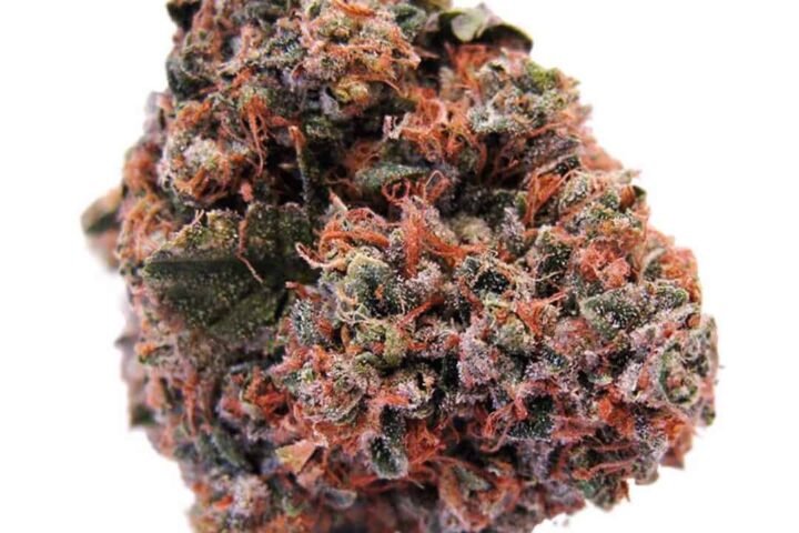 סטרוברי קוש Strawberry-Kush