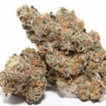 קנדילנד candyland_1