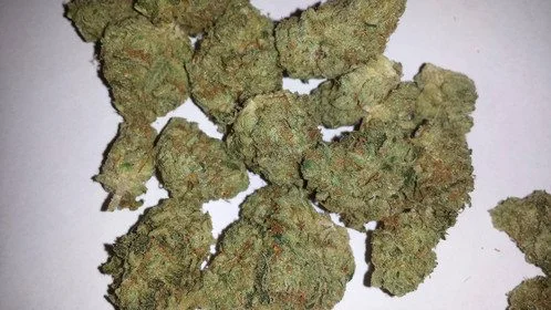 Bubble Gum