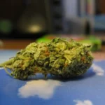 סאוור דיזל Sour Diesel