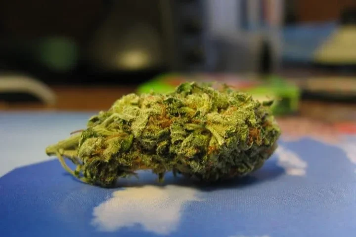 סאוור דיזל Sour Diesel