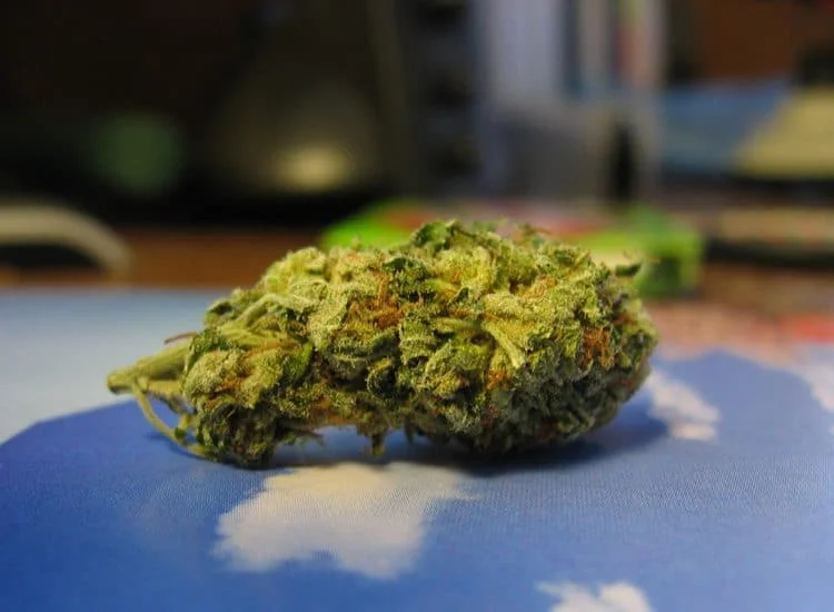 סאוור דיזל Sour Diesel