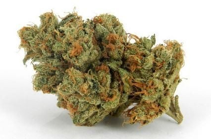 וייט פייר אוג'י white_fire_og